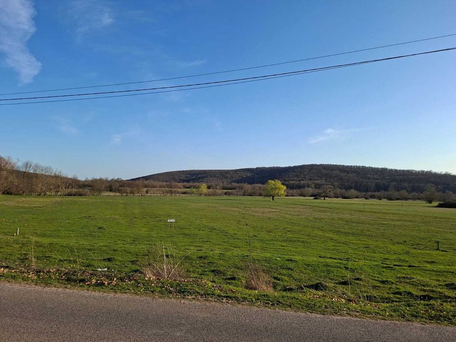Vând teren extravilan 6500 mp în Charlotenburg, Timiș – oportunitate.