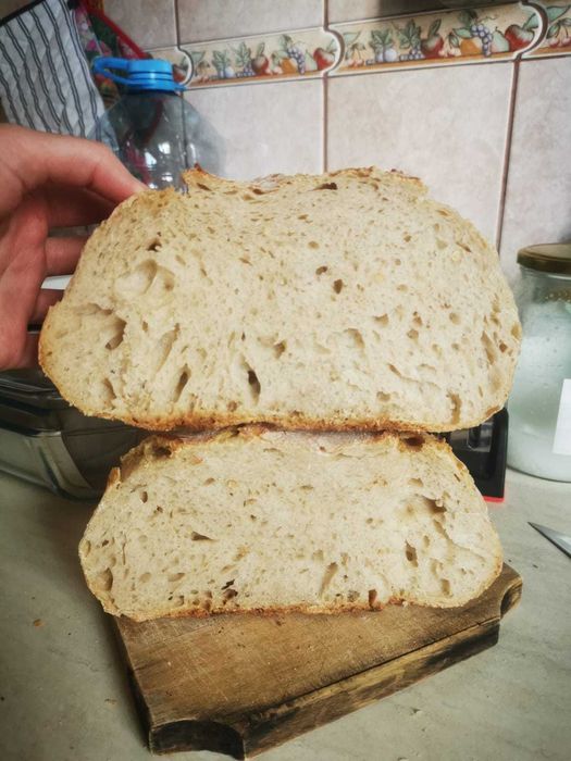 Maia salbatica din faina de grau (contine gluten)