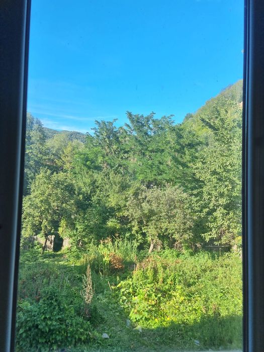 Casa de vânzare Nehoiu