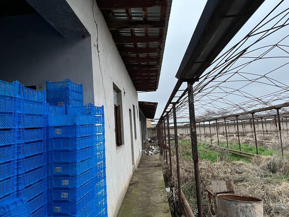 Nazarbek ramadanda yer ozimmiki 40*40 sotigi 9mindan 16sotik