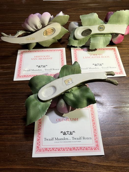 Колекция от 12 порцеланови рози,Capodimonte,Italy