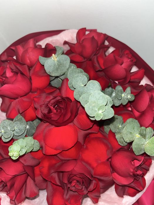 цветы. французкой розы.