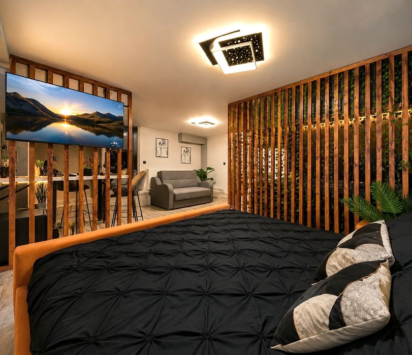 Cazare Studio Spațios de Lux cu Jacuzzi Profesional Ultra Central