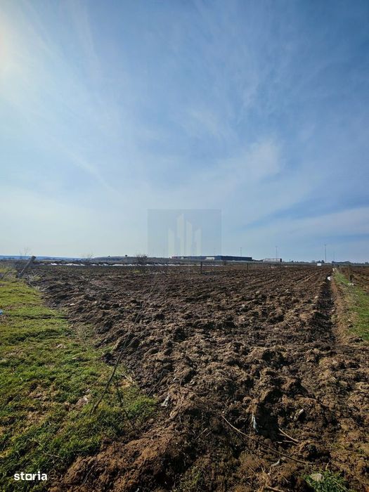 Teren de Vanzare Industrial Caciulati A3