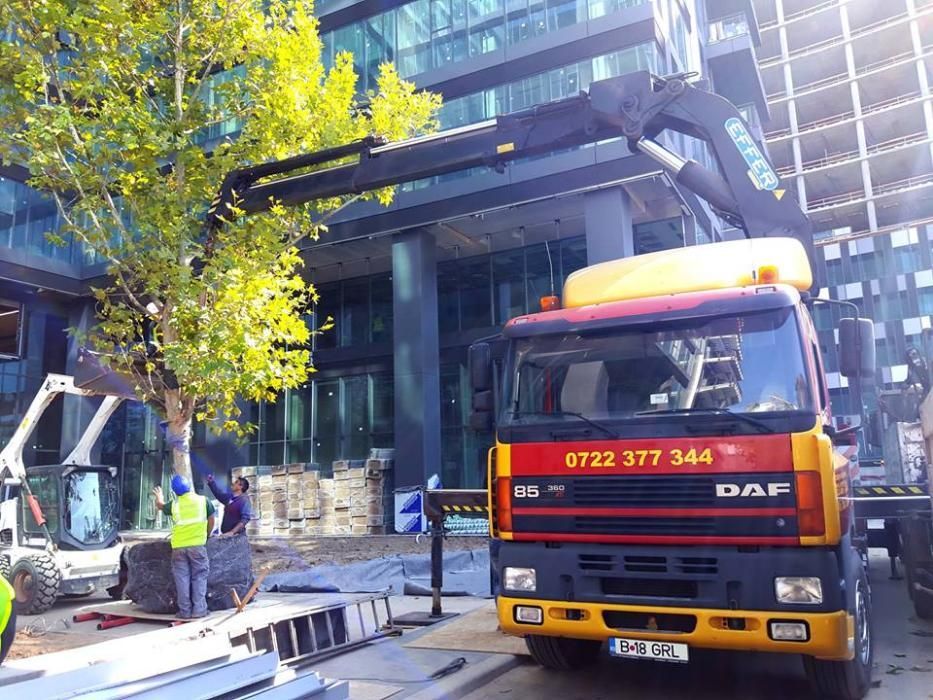 Transport container, camion macara containere, utilaje, inchiriat