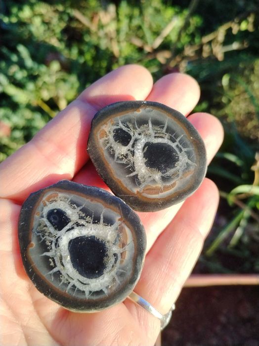 Двойка септарии от Мароко