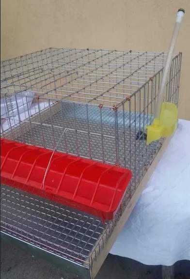 Custi SH Prepelite _ accesorii