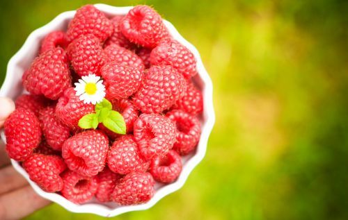 Mur , zmeur si capsuni aclimatizati pentru zone mai reci