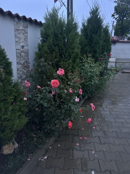 Amenajari exteroare