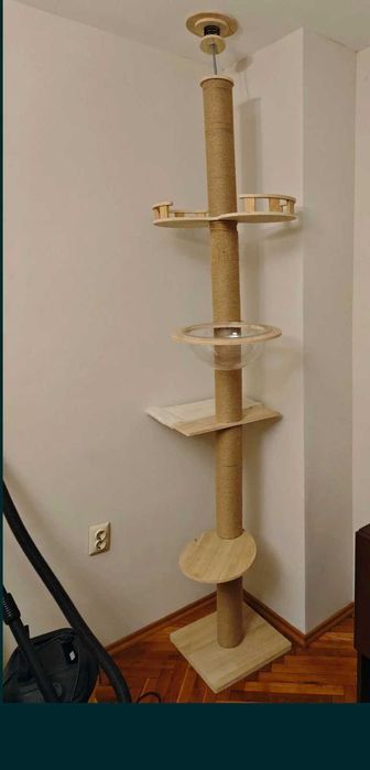 Котешка катерушка