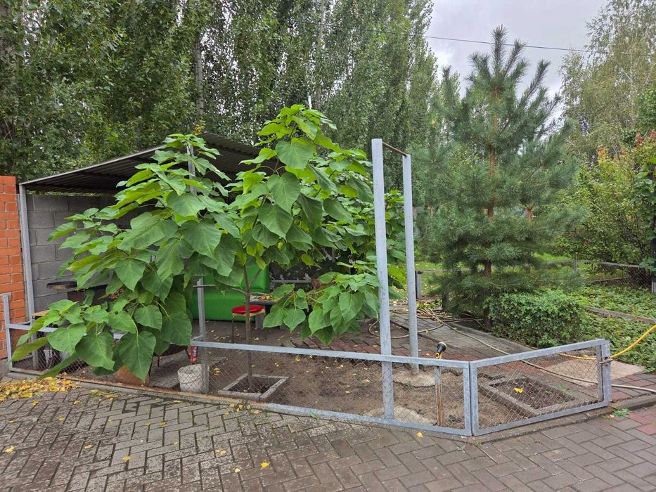 Дом в элитном районе