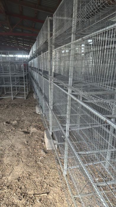 Клетки для кур несушек
