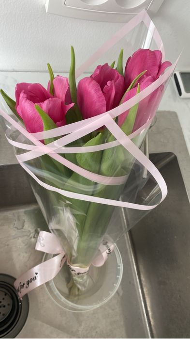 Свежие голландские тюльпаны