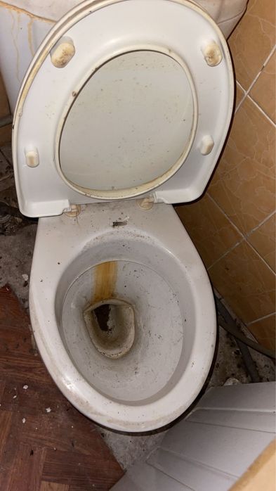 Ванна металлическая и унитаз в Косшы продам