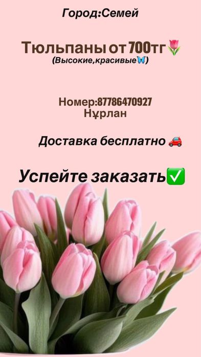Продам тюльпаны