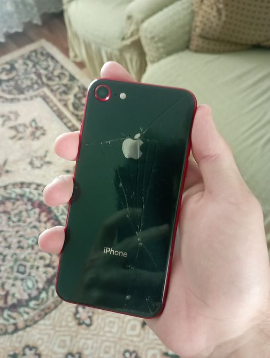 iPhone 8 256/100