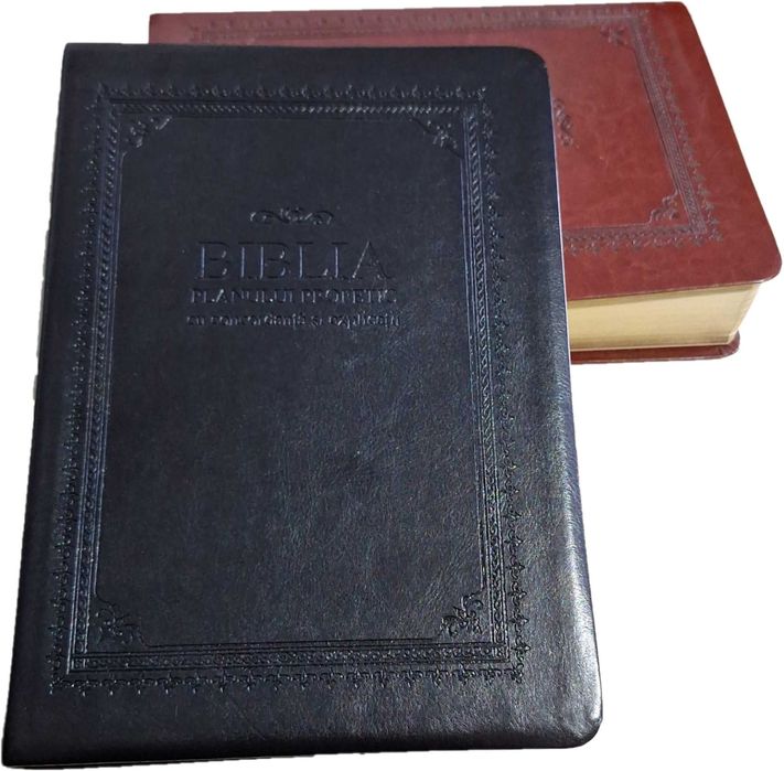 Biblia Planului Profetic Ediția a II - a (Dumitru Cornilescu)