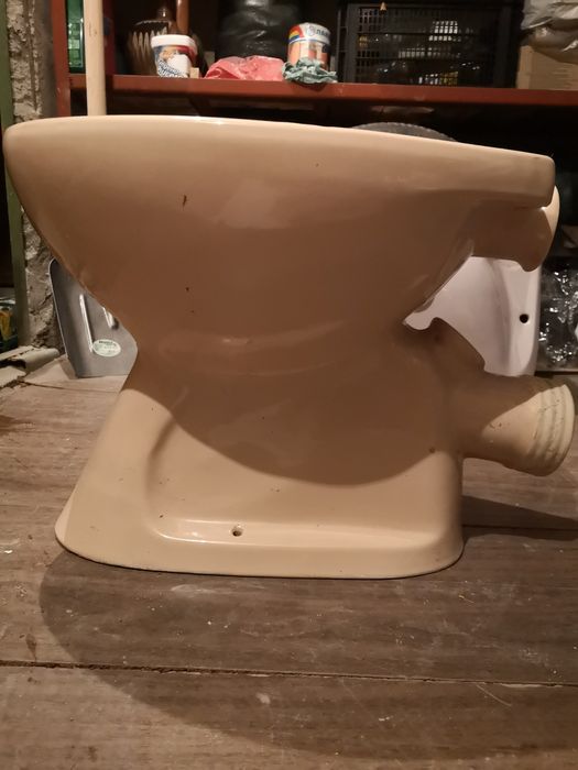 Тоалетната чиния