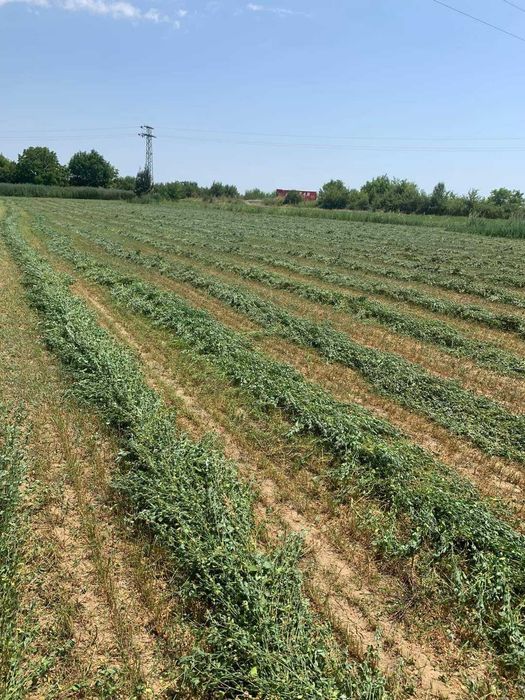 Продавам малки люцернови бали