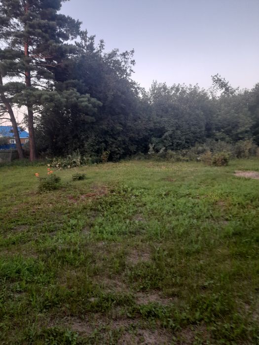Продам дом село приишимка