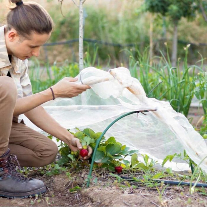 Мини оранжерия - компактна със здрава конструкция - 1,5 х 4 м