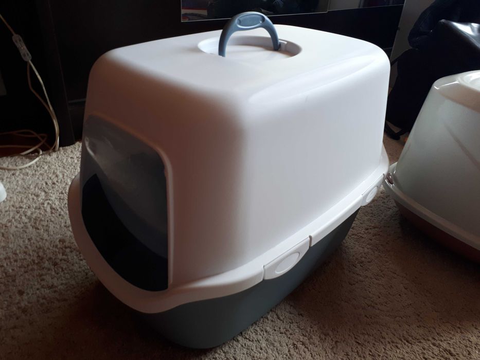 Litiera pentru pisici