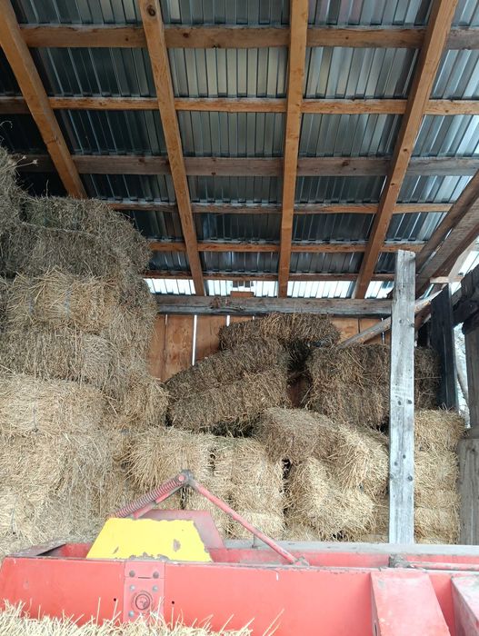 Baloti lucerna sí otava