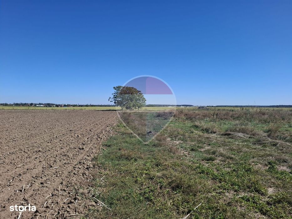 Vanzare teren extravilan 5.000mp - Pantelimon