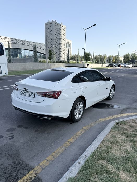Malibu XL oq Tozza