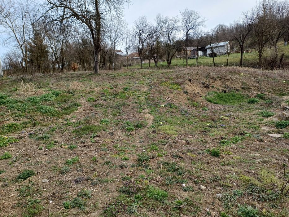 Teren intravilan Brad