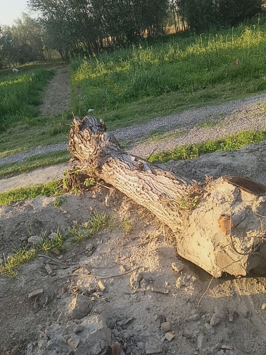 Енгок сотилади карватга