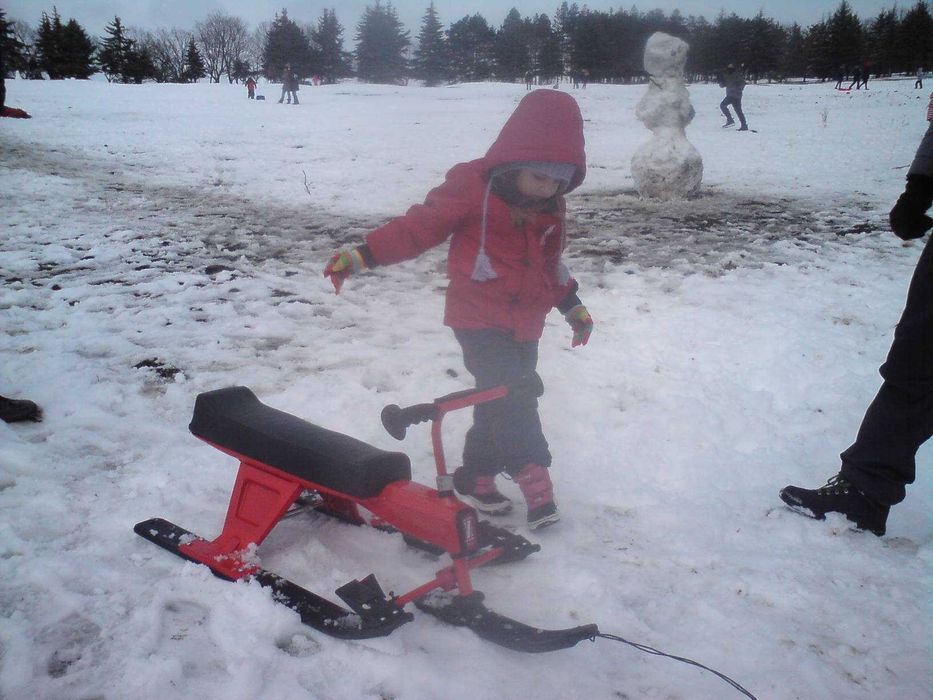 снегокат руска шейна чук и гек оригинална ретро
