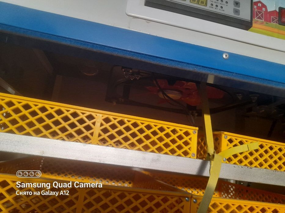 Инкубатор сотилади. 1000 талик