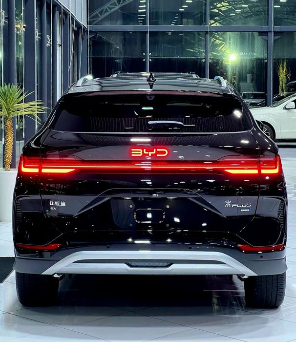 BYD champion 2025 SMART+