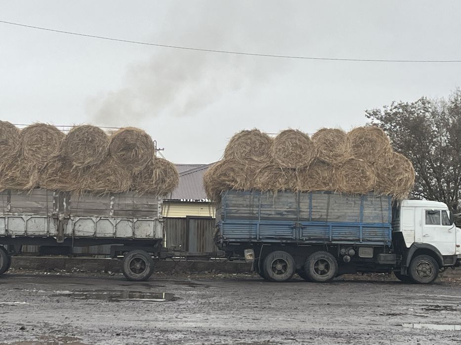 Продам камаз с прицепом 8ка бортовой