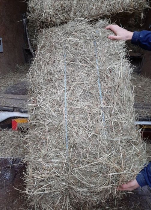 Vand baloti de fan si lucerna