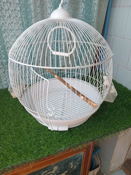 Клетка для птиц клетка.
