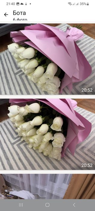 Цветы розы  белые