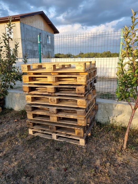 Vand paleti, euro paleti