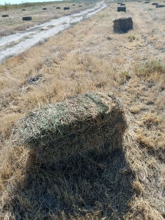 Янток прес сотилади