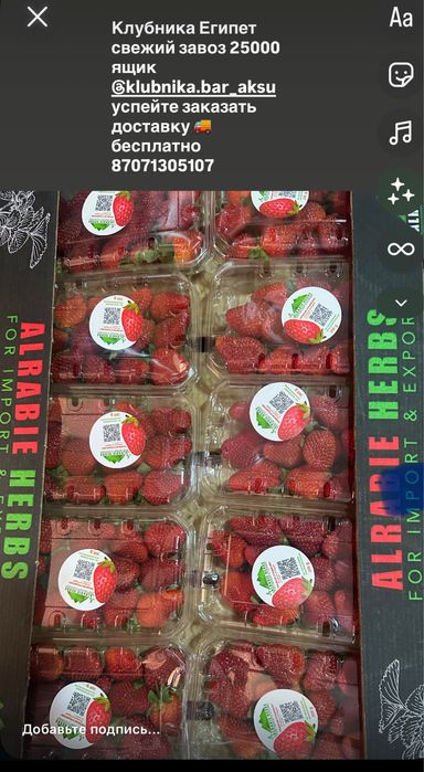 Клубника Египет ящик 25000