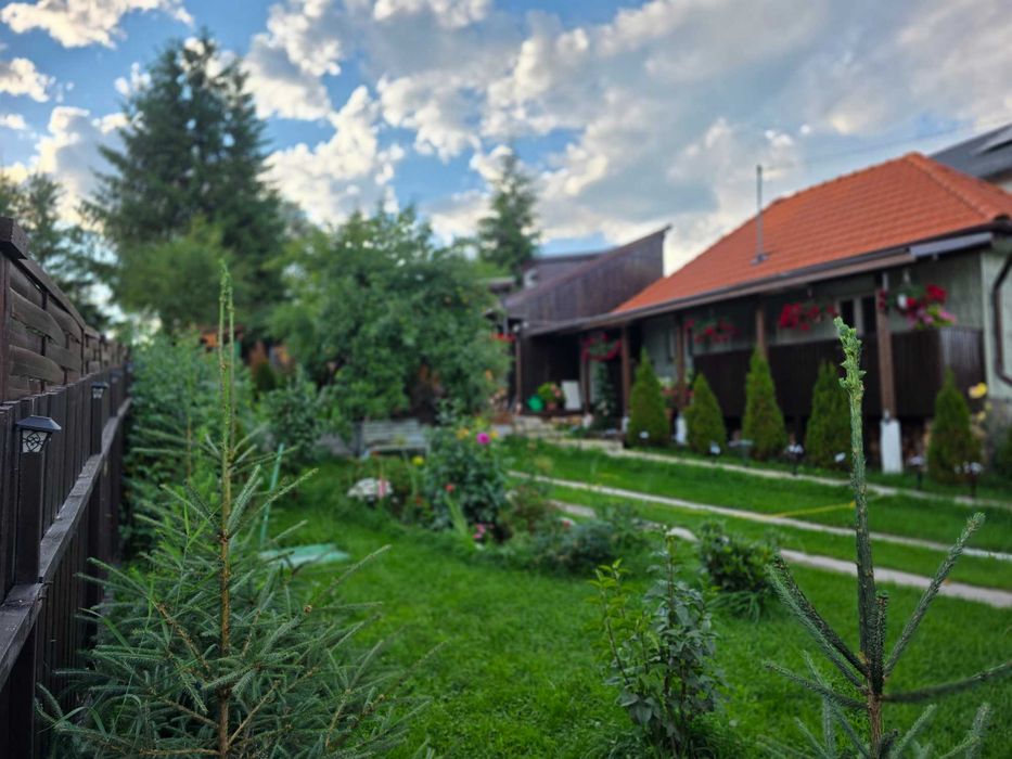 Vand casa/cabana la munte