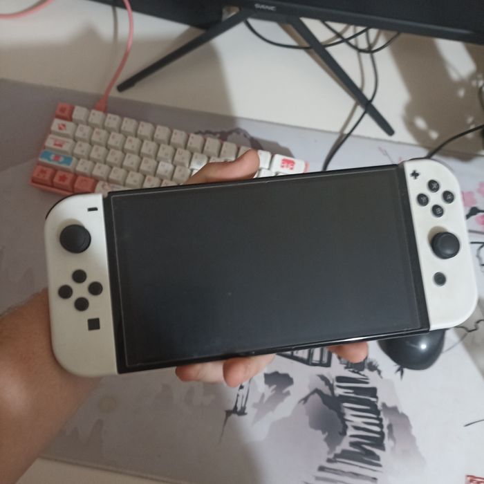 Nintendo switch oled