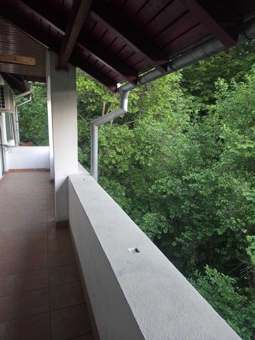 Casa de inchiriat  spatioasa,aerisita si cu un view extraordinar