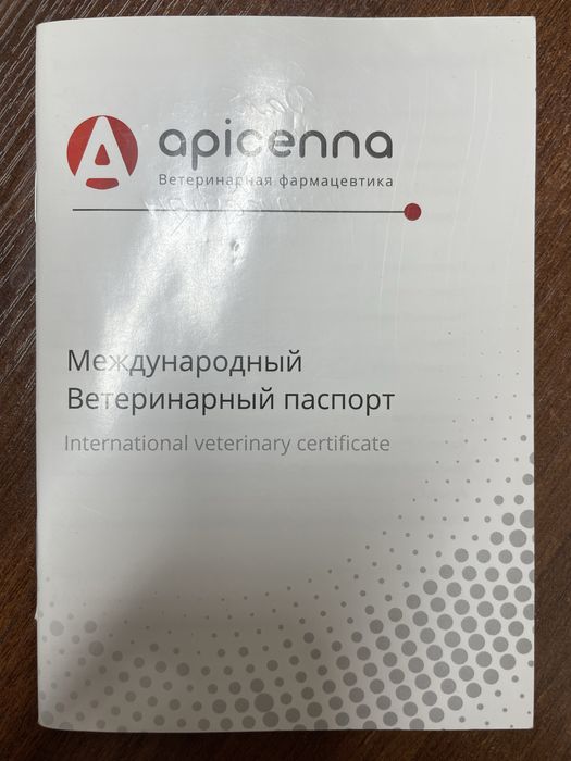 Отдам в добрые руки кота.