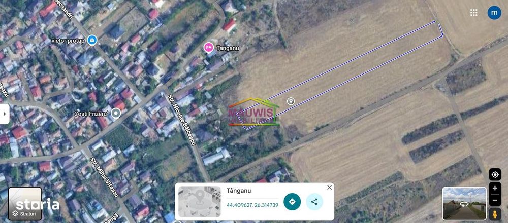 Vand teren intravilan in sat Tanganu, Cernica - Nicolade Balcescu.