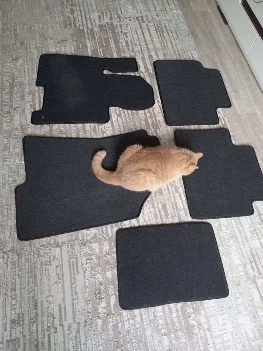 Полики автомобильные