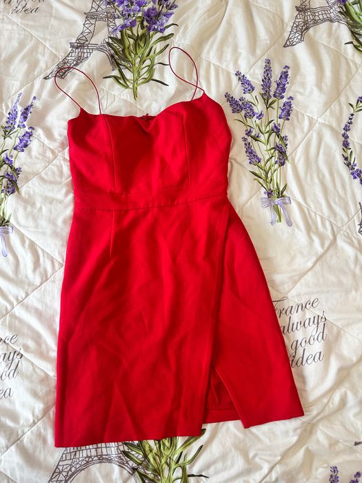 Обменяю на растение