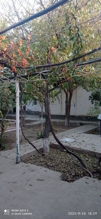 Тез ва келишилган нархда ховли сотилади Коровулбозорда