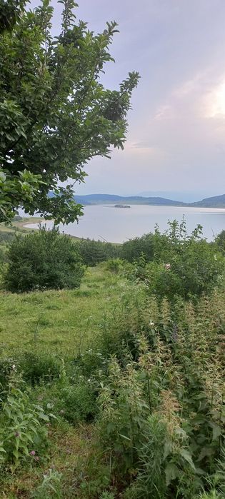 Продава се Парцел в Батак - 1687 кв.м за 25 €/кв.м - Снимка #2